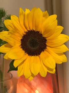 B6DE6667-3E24-477B-ACCF-A8C3D2E62137.jpeg